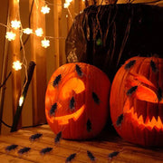 12/48pcs Halloween Simulation Bug Cockroach Spider Centipede Scorpion Plastics Prank Bug Funny Halloween DIY Decoration TMZ